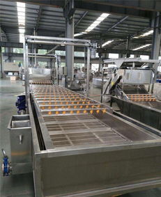 瓜果氣浪清洗流水線配置 諸城華都機械公司